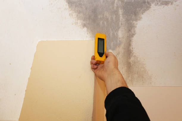 Best Residential Mold Inspection & Testing  in Como, WI