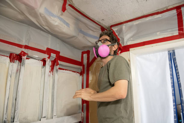 Best Crawl Space Mold Remediation  in Como, WI